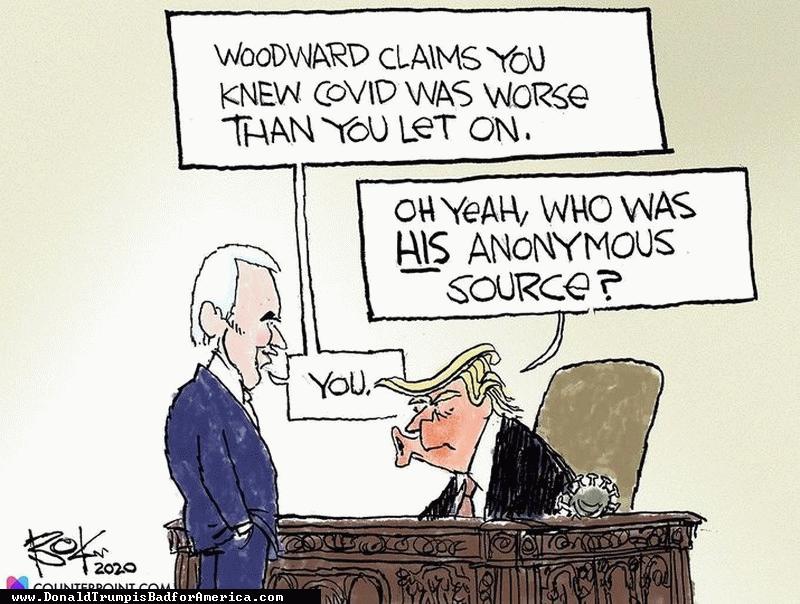 http://www.donaldtrumpisbadforamerica.com/images/lg/image-22353.jpg?{ts '2020-09-12 12:15:07'}